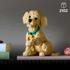 LEGO® Icons 11384 Golden Retriever Welpe Produktbild-Vorschau 6