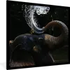 MuchoWow® Gerahmtes Poster Elefant spuckt Wasser 40x40 cm - Produktbild-Vorschau 1