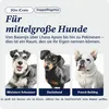 MidWest iCrate Dubbele Deur Hondenkennel, maat M, Productafbeelding-voorbeeld 2