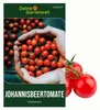 Johannisbeertomaten  Samen - Solanum pimpinellifolium - Produktbild-Vorschau 1