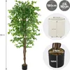 ML-Design sztuczna roślina Ficus 180cm sztuczne rośliny Podgląd zdjęcia produktu 6