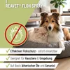 REAVET Flohspray für Katzen & Hunde 500ml - Sofortschutz Produktbild-Vorschau 2