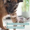 REAVET Ohrenpflege Finger-Pads für Hunde & Katzen 50 Stück Produktbild-Vorschau 6
