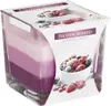 A scented candle in a glass jar with a label showing frozen berries. Voir les images du produit