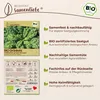 Samenliebe  Grünkohl Samen | Halbhoher grüner Krauser - Produktbild-Vorschau 3