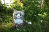 Uni-Toys - Gatto delle foreste norvegesi - 46 cm Anteprima dell’immagine prodotto 3