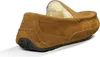 Ugg Ascot M Chestnut - Heren Pantoffel - 1101110-CHE Produktbild-Vorschau 4