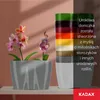 KADAX květináč "Fermo", květináč, plastový květináč, Náhled obrázku produktu 7