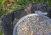 deuka GJ Streufutter 20 kg Produktbild-Vorschau 3