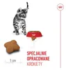 Royal Canin Kitten Sterilised, Kitten, jede Rasse, Produktbild-Vorschau 5