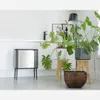 Brabantia Poubelle Bo Touch Bin 36 L, acier mat FPP Voir les images du produit 5