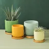 Four ceramic planters of varying sizes and colors, each with a ribbed design and a gold saucer, are arranged on a light green surface against a dark green background. One planter contains an aloe vera plant, and another contains an air plant. Produktbild-Vorschau