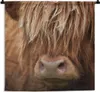 MuchoWow® Wandteppich Wandbehang Schottisches Hochlandrind Produktbild-Vorschau 1