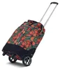 PUNTA 'BIG WHEEL' Shopping-Roller *olivgrün/orange Produktbild-Vorschau 2