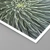 Poster - Poster ohne Rahmen - Agave Grün Pflanze - 100x70 Produktbild-Vorschau 2