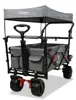 FUXLIFE by FUXTEC Plážový vozík FX-CTB800 Šedý  Skládací Náhled obrázku produktu 2