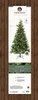Künstlicher Weihnachtsbaum  Allison Kiefer Ø 172cm H 210cm Produktbild-Vorschau 10