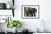 MuchoWow® MuchoWow® Gerahmtes Poster Elefant - Wasser - Produktbild-Vorschau 4