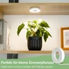 A plant light is shown illuminating a potted plant on a shelf, with promotional text at the bottom. Produktbild-Vorschau