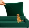 A hand is stretching a green sofa cover over a sofa, and a golden retriever dog is sitting on the sofa. Podgląd zdjęcia produktu