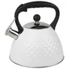 Karl Hausmann Czajnik fletowy ze stali nierdzewnej 3 L Podgląd zdjęcia produktu 2