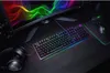Razer Huntsman Elite - Volle Größe (100%) - Produktbild-Vorschau 14