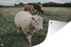 MuchoWow® Produktbild-Vorschau 1