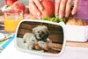 KitchenYeah® Lunchbox Brotzeit Brotdose 17x11 cm Ein Shih Produktbild-Vorschau 3