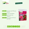 Cuxin DCM Spezialdünger für Rosen & Blumen 5 kg Produktbild-Vorschau 5