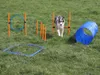 Agility Set für kleine und mittelgroße Hunde, Hundesport Produktbild-Vorschau 7