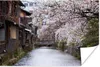 MuchoWow® Poster Kirschblüten über dem Shirakawa-Fluss bei Produktbild-Vorschau 1