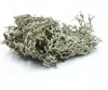 BioGrey Flechten 25g Voir les images du produit 2