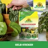 Neudorff Gelbsticker für Pflanzen 10 Stück gegen kleine Produktbild-Vorschau 5