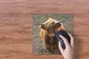 MuchoWow® Mauspad Mousepad Schottische Hochlandbewohner - Produktbild-Vorschau 3