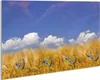 Wallario Schlüsselbrett aus Glas, Motiv: Kornfeld unter Produktbild-Vorschau 1