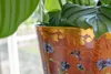 Collection TS - Vase Conisch Colibri rêveur - 14x12 Voir les images du produit 6