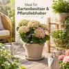 Pflanztopfuntersetzer Mira Taupe Ø 17cm - Frostsicher & Produktbild-Vorschau 8