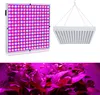 LARS360 1X 45W Lampe pour plantes Led 225 LED spectre Voir les images du produit 1