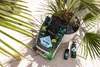 Podłoże Do Roślin Specjalistyczne do palm - LECHUZA PALMPON Podgląd zdjęcia produktu 8