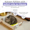A cat is lying in a disposable litter box with marketing text and icons around it. Anteprima dell’immagine prodotto
