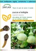 SAFLAX Set regalo -  zucca a bottiglia - 15 semi - Anteprima dell’immagine prodotto 1