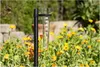Hama 00185863 Regenmesser mit Halter transparent Garten Produktbild-Vorschau 4