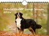 Hundezauber Berner Sennen DIN A5 Kalender für 2026 Welpen Produktbild-Vorschau 1