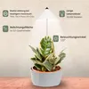 SUNLiTE 7W LED lampada per piante bianche da interno, con Anteprima dell’immagine prodotto 17
