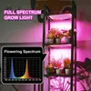 A multi-tiered shelf unit with plants under a pink grow light, with a spectrum chart overlay. Produktbild-Vorschau