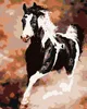 Malen nach Zahlen - LAUFENDES SCHWARZWEIßES PFERD, 40x50 Produktbild-Vorschau 1