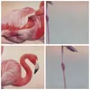 Bild auf Leinwand - Leinwandbild - Einteilig - Flamingos Produktbild-Vorschau 8