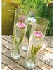 Vase Glas konisch Glasvase Blumenvase 19 cm Produktbild-Vorschau 5