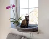 Kerbl Pet Fensterliegebett für Katzen Produktbild-Vorschau 7