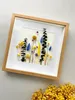 A framed dried flower arrangement is displayed against a light gray background, with a pile of yellow dried flowers in the foreground. Náhled obrázku produktu